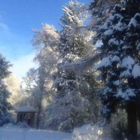 ניוטונמור The Beeches Studio, Highlands Of Scotland מראה חיצוני תמונה