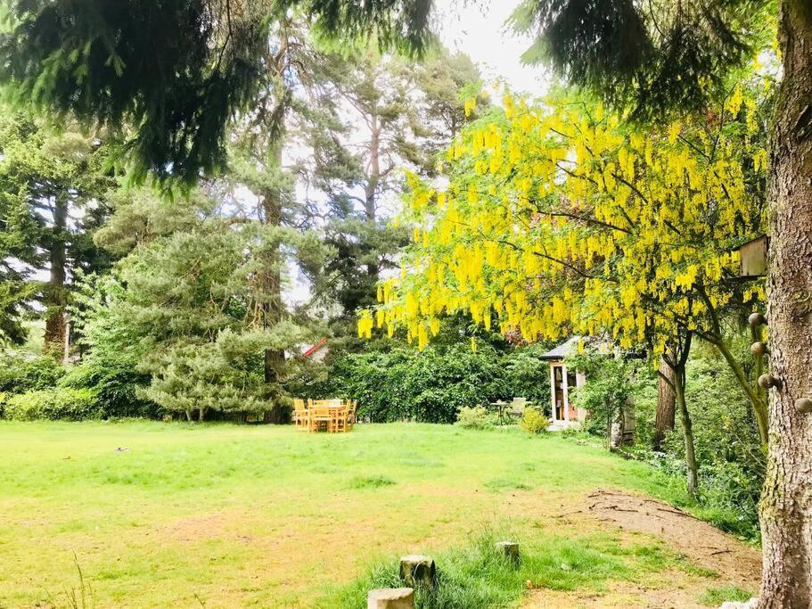 ניוטונמור The Beeches Studio, Highlands Of Scotland מראה חיצוני תמונה