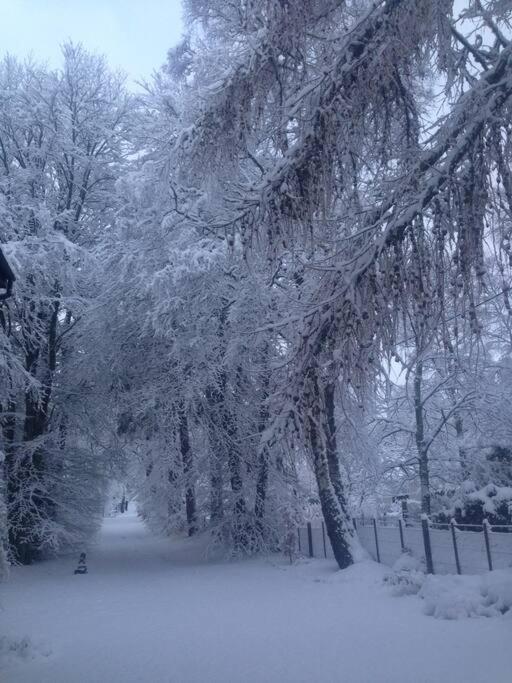ניוטונמור The Beeches Studio, Highlands Of Scotland מראה חיצוני תמונה