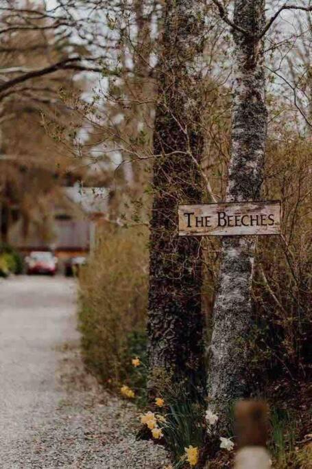ניוטונמור The Beeches Studio, Highlands Of Scotland מראה חיצוני תמונה
