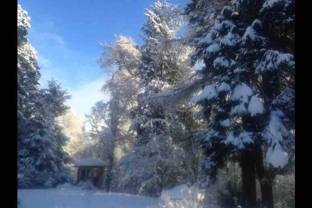ניוטונמור The Beeches Studio, Highlands Of Scotland מראה חיצוני תמונה