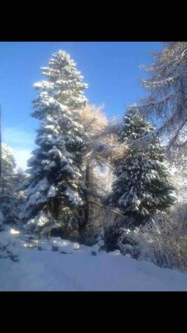 ניוטונמור The Beeches Studio, Highlands Of Scotland מראה חיצוני תמונה